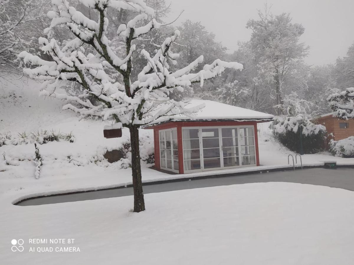 Paradies 1 Döttingen Esterno foto
