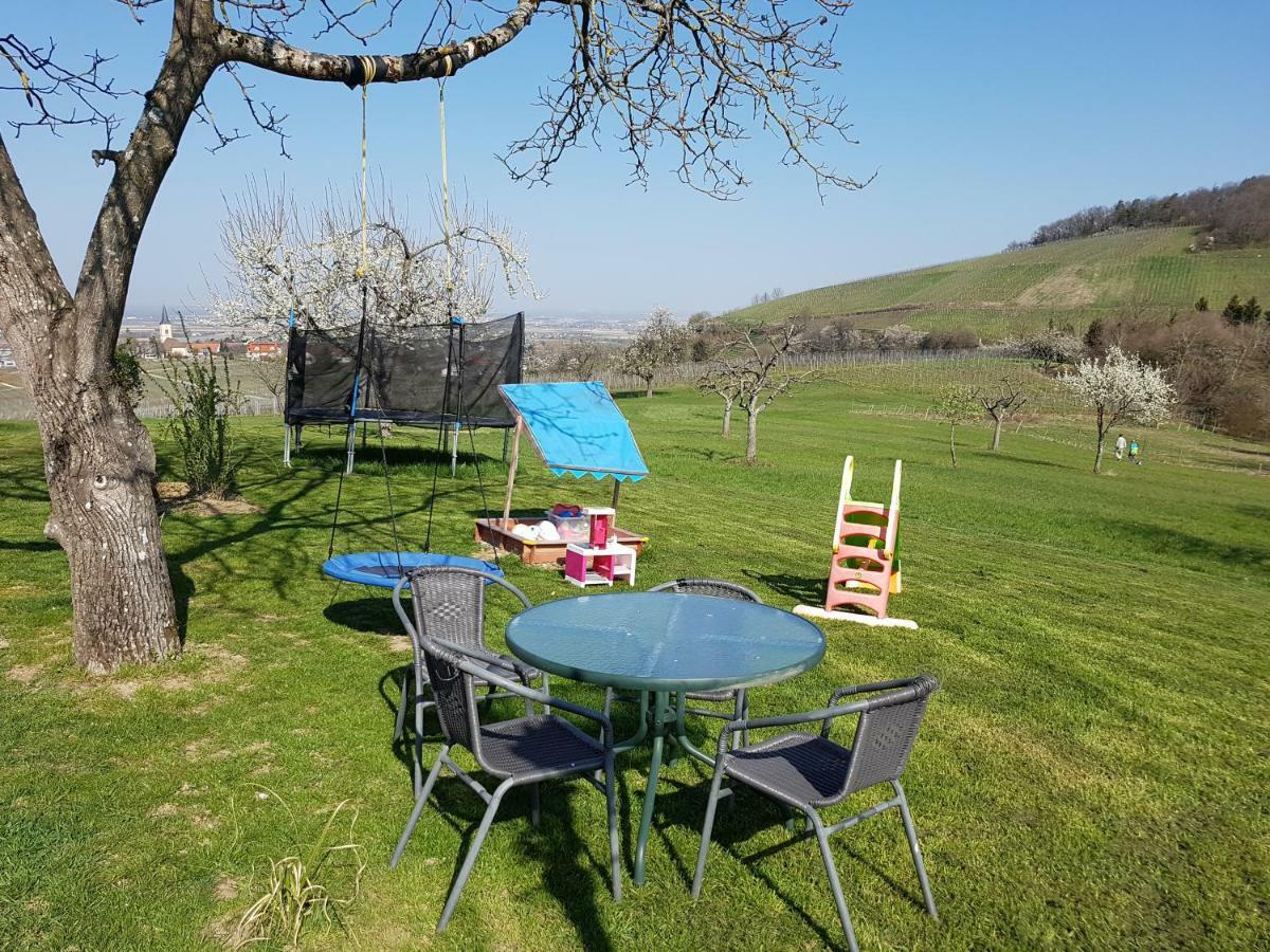 Paradies 1 Döttingen Esterno foto